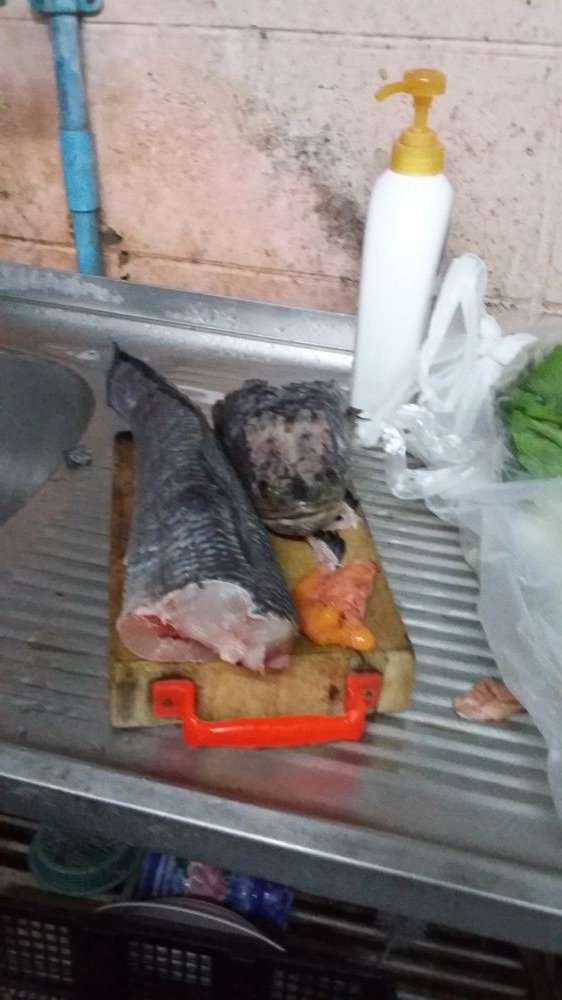 ปลาช่อนนึ่งครับง่ายๆ