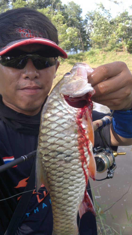 ทั้งรัก ทั้งหลง..Prew 60