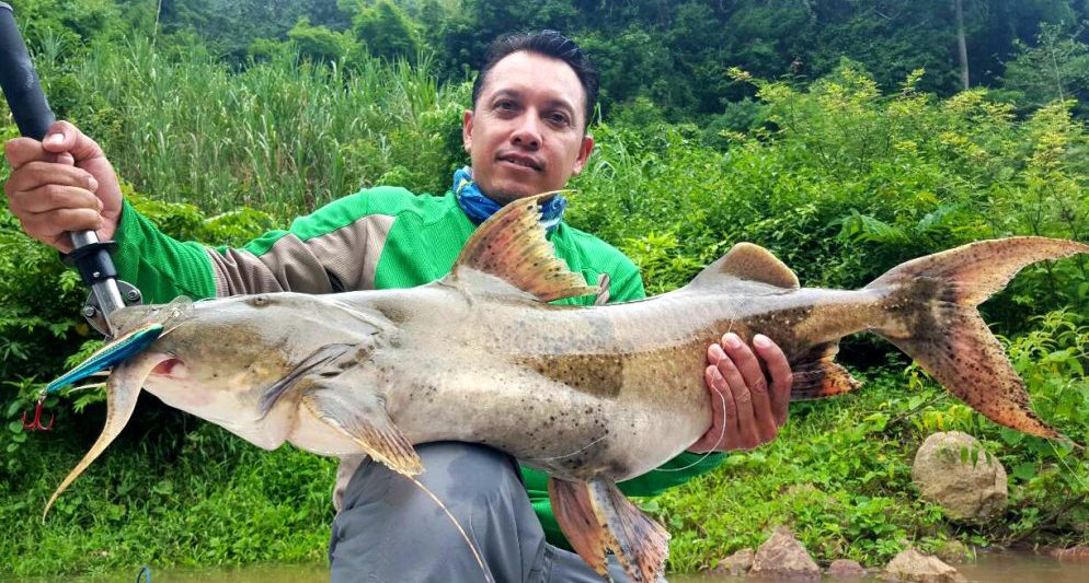 ปลาแค้ [ Big catfish ] ครั้งหนึ่งในชีวิต จะมีซักกี่คน... 