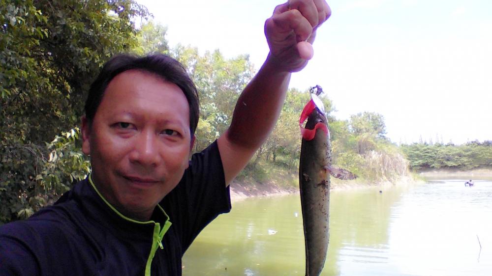 ฝ่าแก๊งส์แหและดงตะคัด