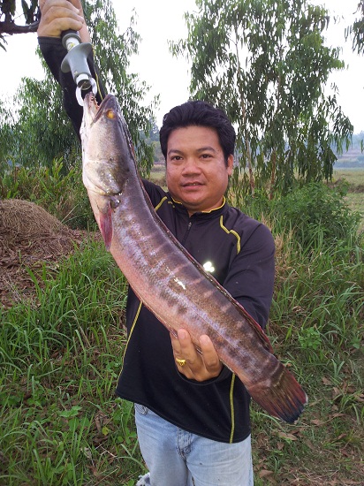 ทบทวนความหลังครับ