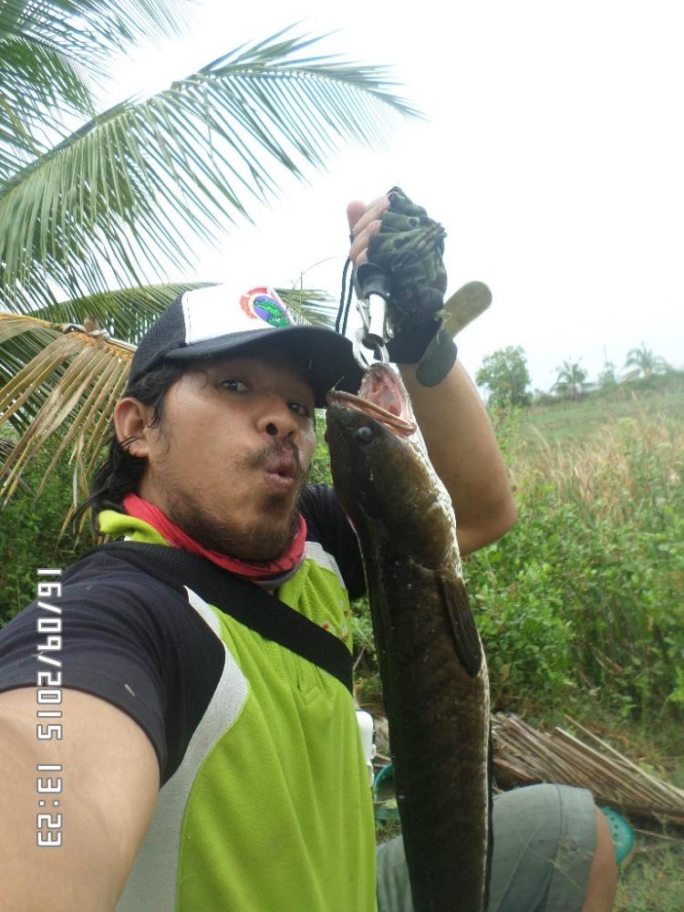 โทรฟี่...วันฝนพรำ