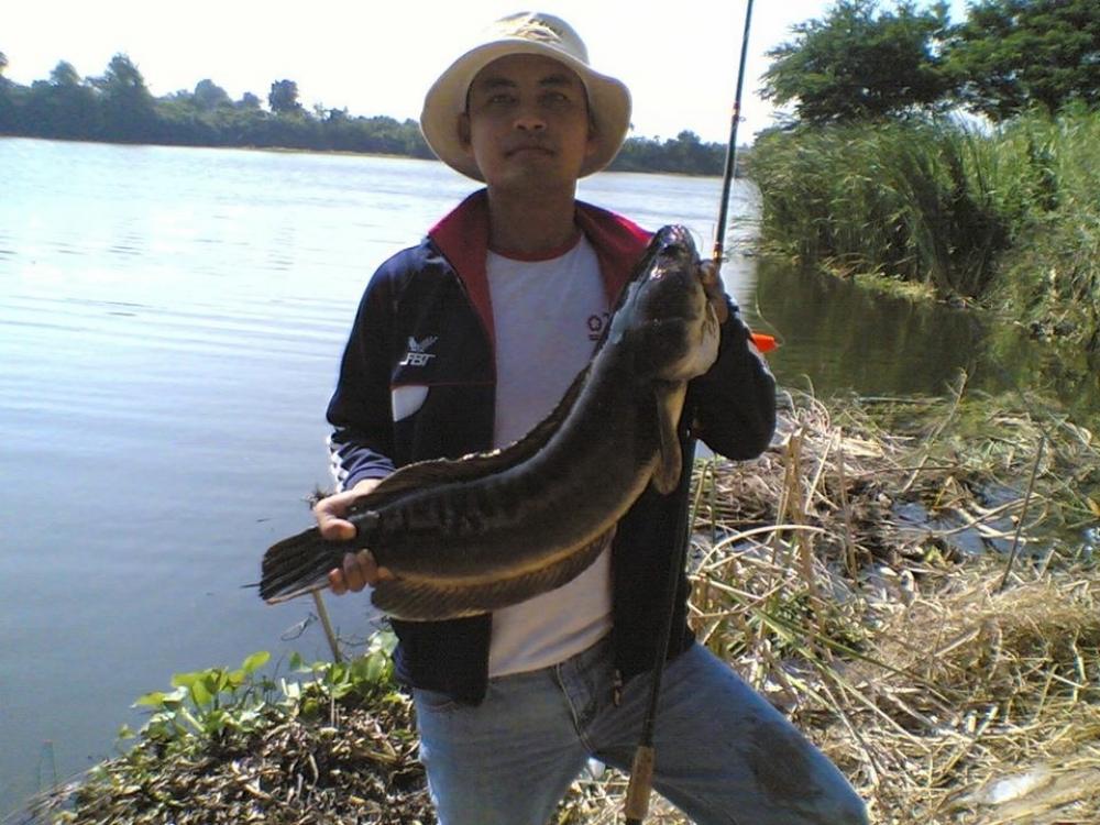 วันวานยังหวานอยู่