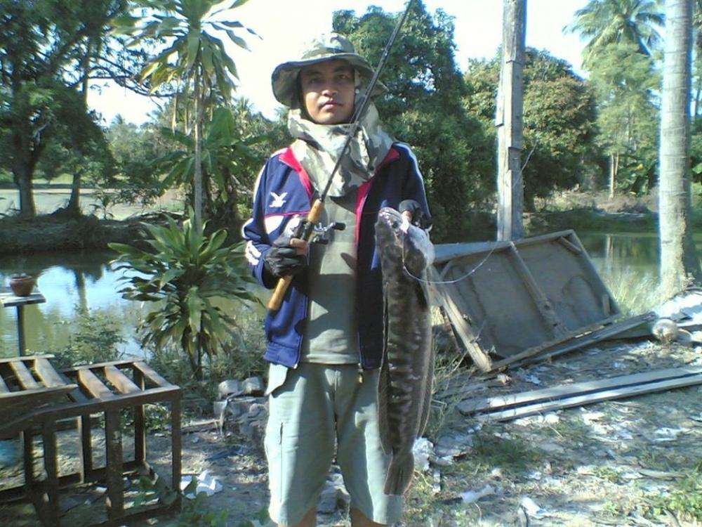 วันวานยังหวานอยู่