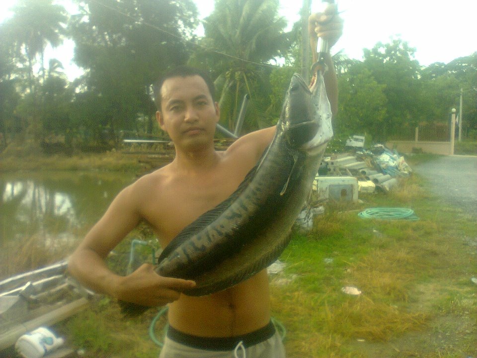 วันวานยังหวานอยู่