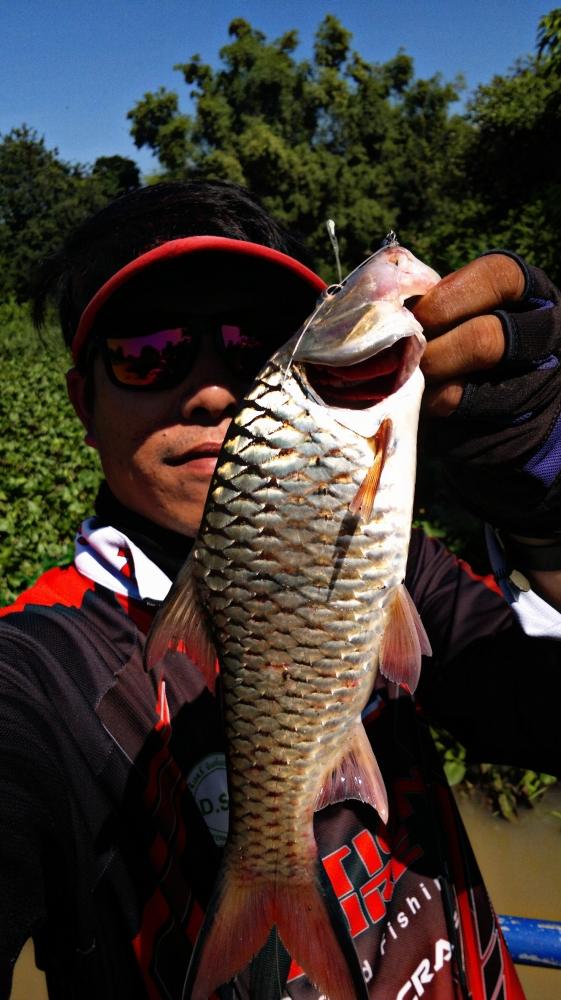 แกว่งไปแกว่งมา !!