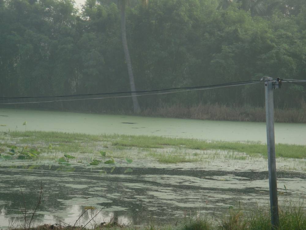 ไปสำรวจหมายนิดนึง/ SnakeHead Angler Club