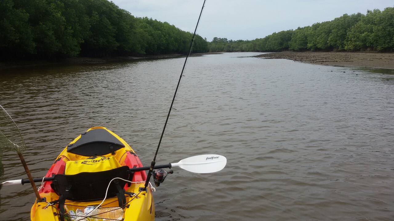 พายเรือเล่น