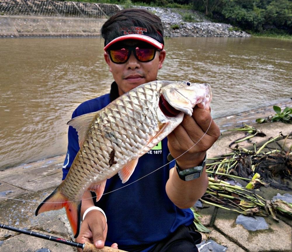 Tide 48s เล็กพริกขี้หนู