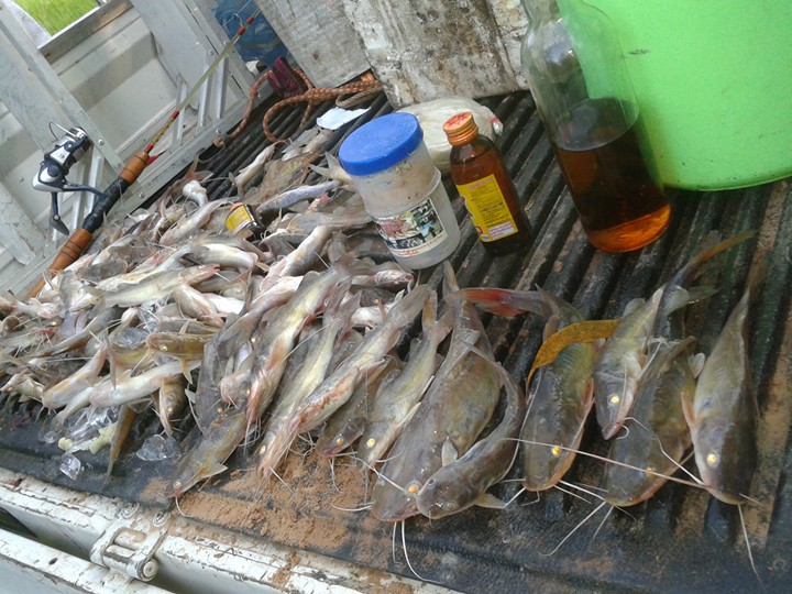 ตกปลากดกันคับช่วงนี้