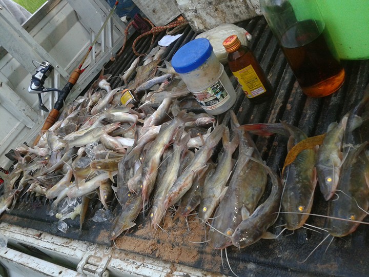 ตกปลากดกันคับช่วงนี้