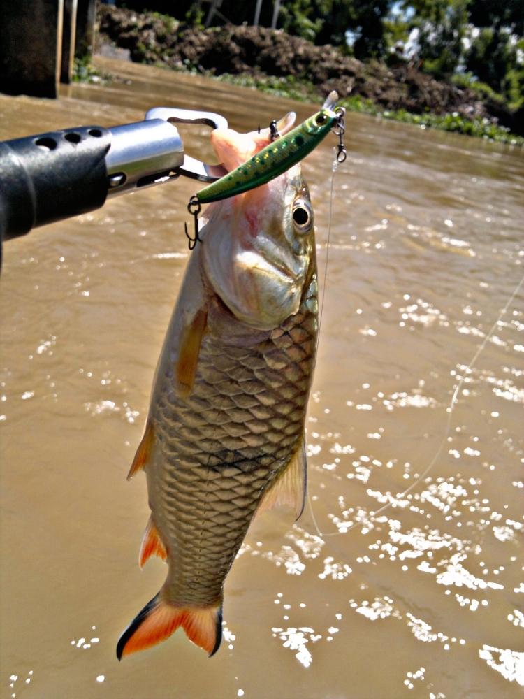 รักเลย..Tide 48s