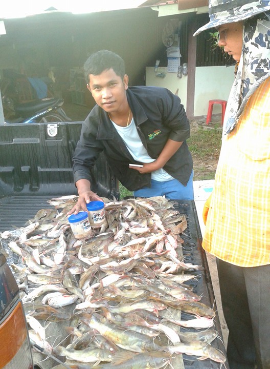 การตกปลากด