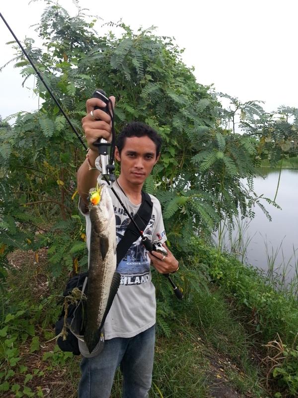 ปลาช่อน สบาย ๆ ในวันฝนพร่ำ แดดอ่อน ๆ