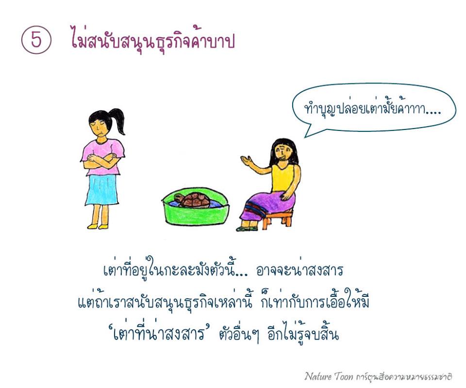 ยังง่วนอยู่กับเรื่องเต่า : ภารกิจปล่อยเต่า