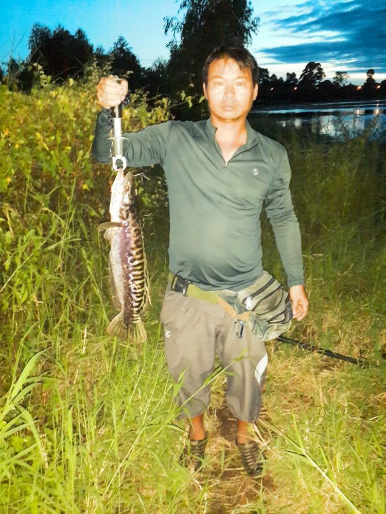 ตกชะโดทีมหมูน้อยฟิชชิ่ง