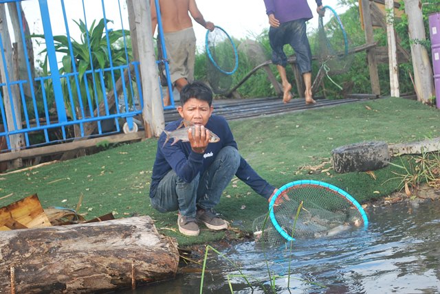 บ่อตกปลาหนุ่มบางวัว(บ่อปลารวม)ลงปลาอีกแล้ว 13/10/58