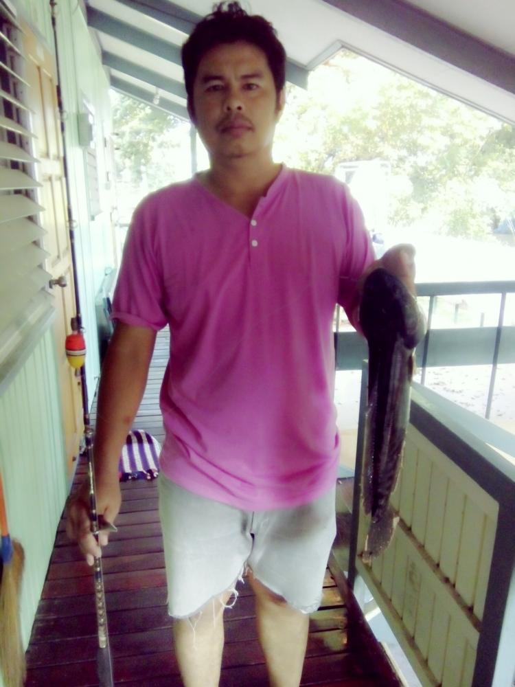 ชะโด วัดห่อฯชัยนาท