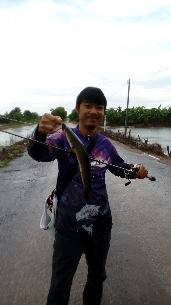 ช่อนนาน้ำท่วม
