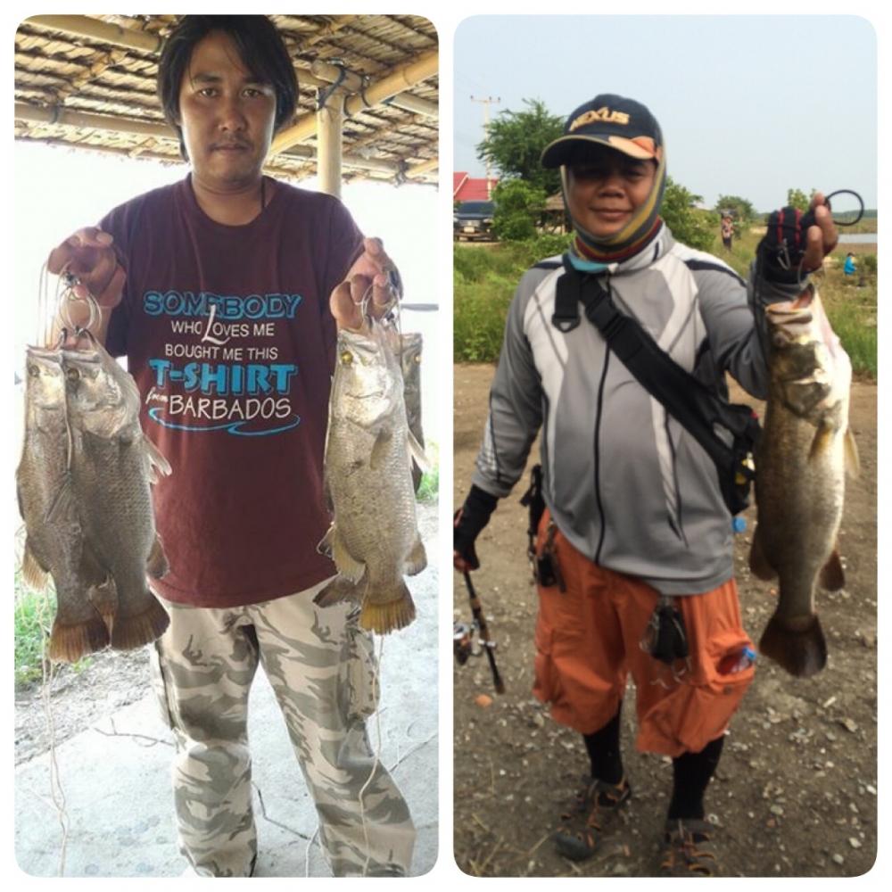 ตีซำ้!!!บ่อน้องพลอย1 วันอาทิตย์ ที่ 25 ตุลาคม 2558