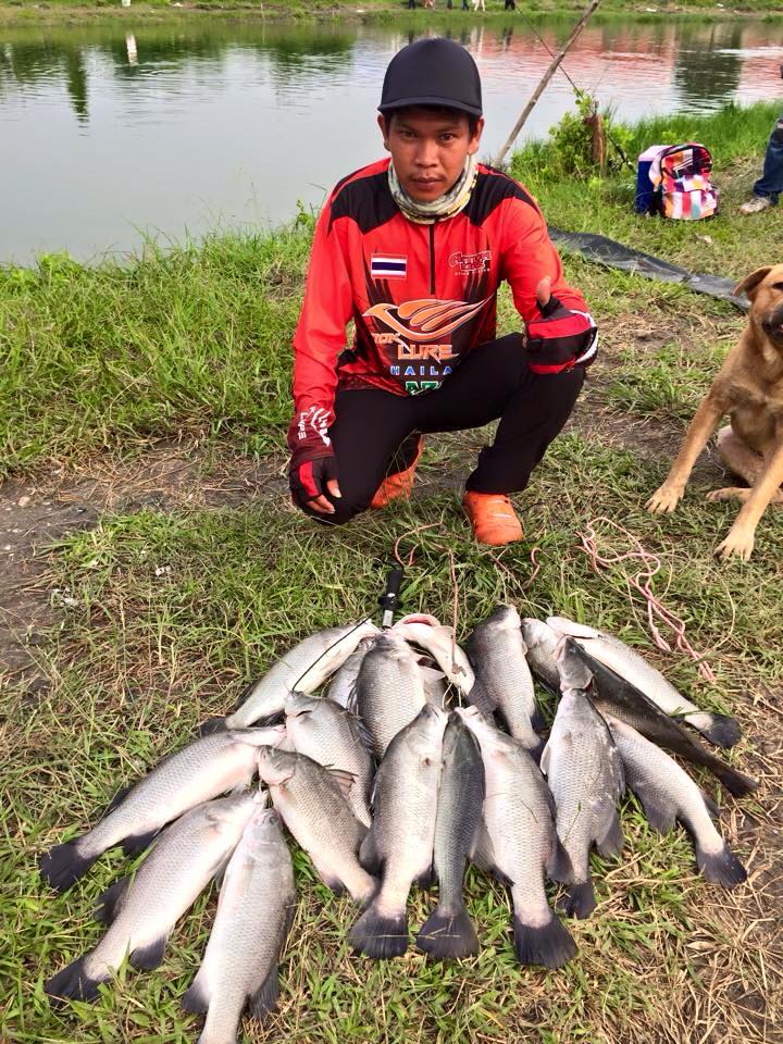 บางส่วนจากทริพคนบ้าจัด กะพงแสมดำ