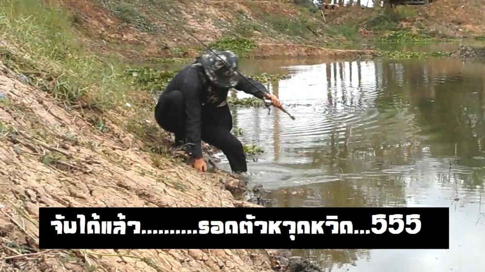 เกือบไปซะแล้วววววว...............:ซุ่มกัดอยู่ตรงนี้นี่เอง............. ^^