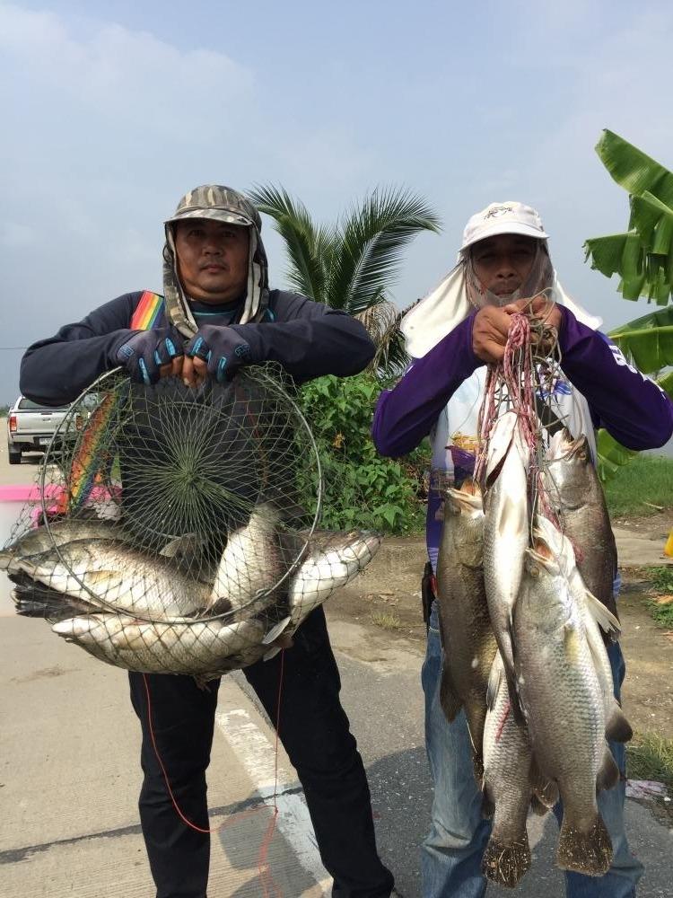 ซ้ำกะพงประชาอุทิศ 25/10/2558 