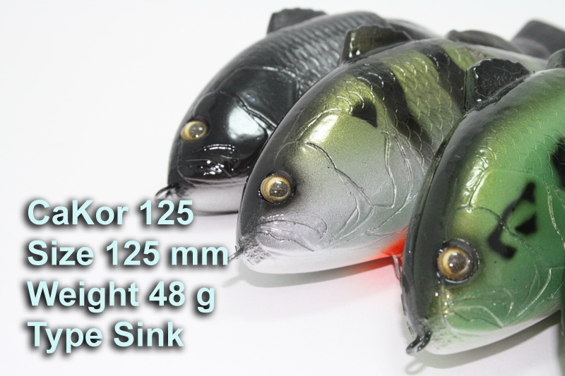 เอา BigBait 125  มาขอคำแนะนำครับ