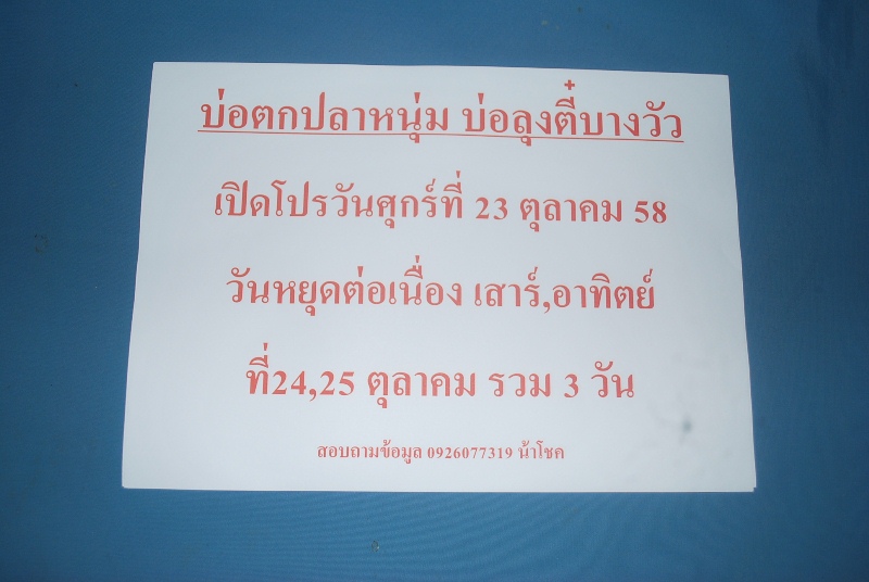 บ่อตกปลาหนุ่ม,บ่อลุงตี๋บางวัว(บ่อปลารวม)เปิดโปรวันที่ 23 ตุลา 58