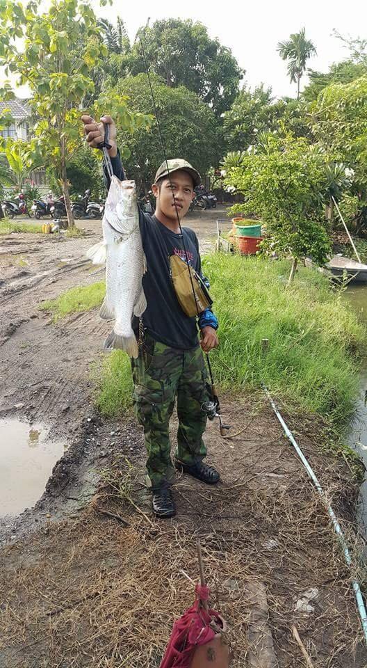 เหยื่อปลอม