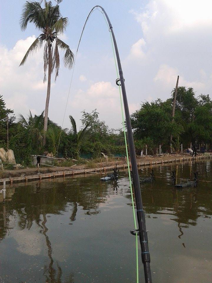 FLY Fishing กระพง เจเจ