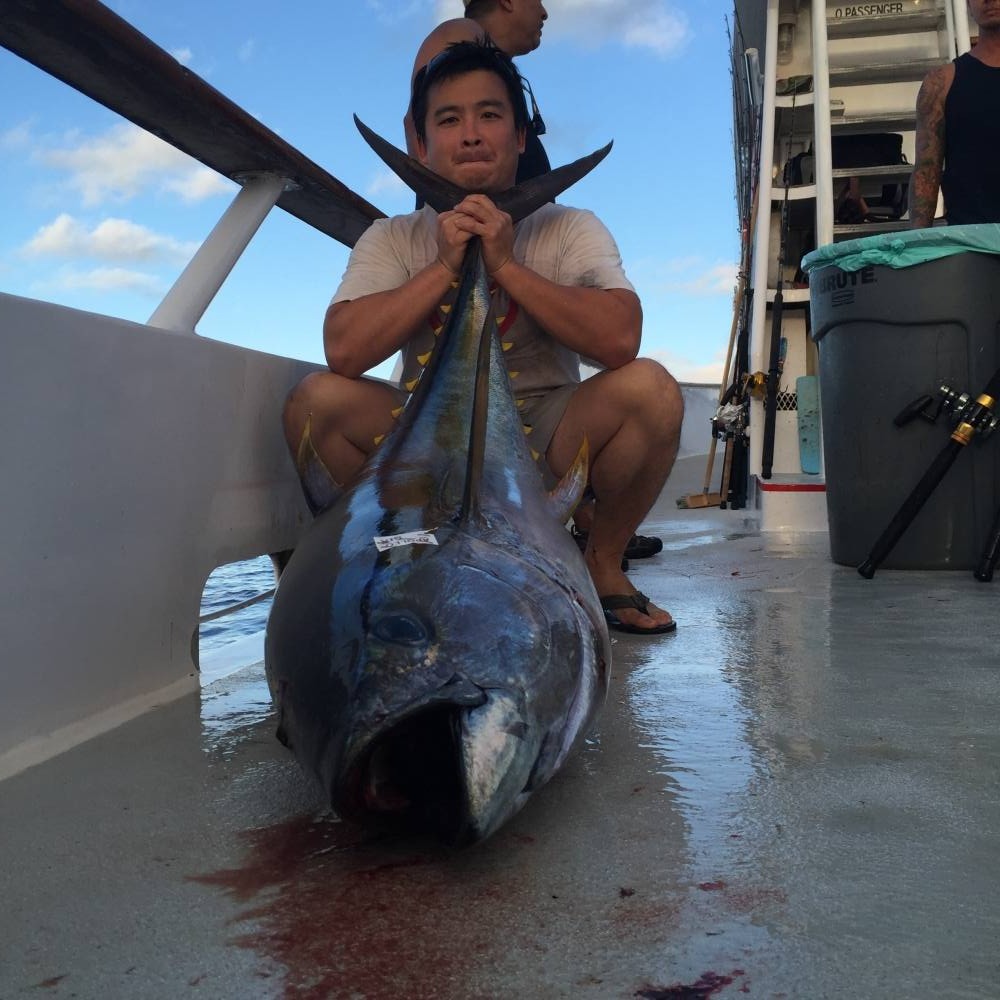 Guadalupe Island  เกาะต้องห้าม