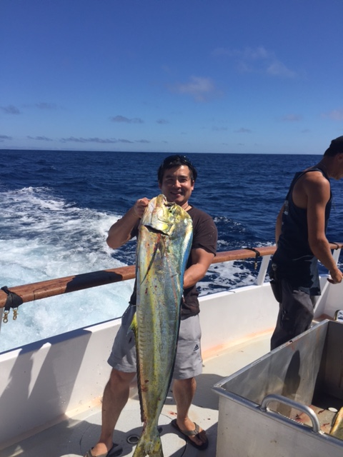 Guadalupe Island  เกาะต้องห้าม