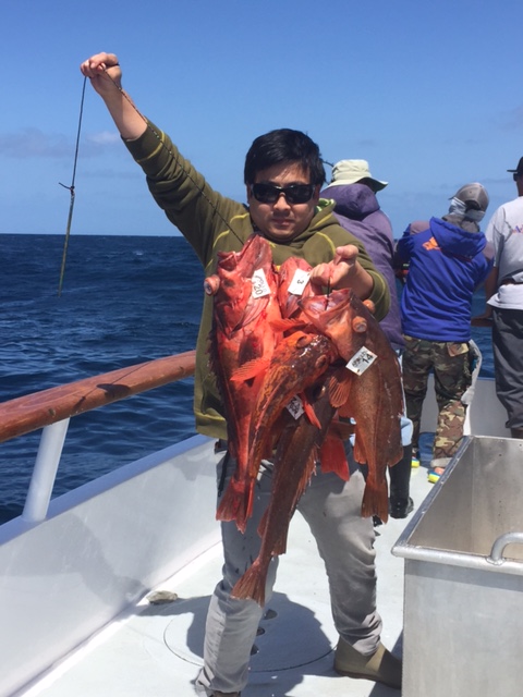 Guadalupe Island  เกาะต้องห้าม