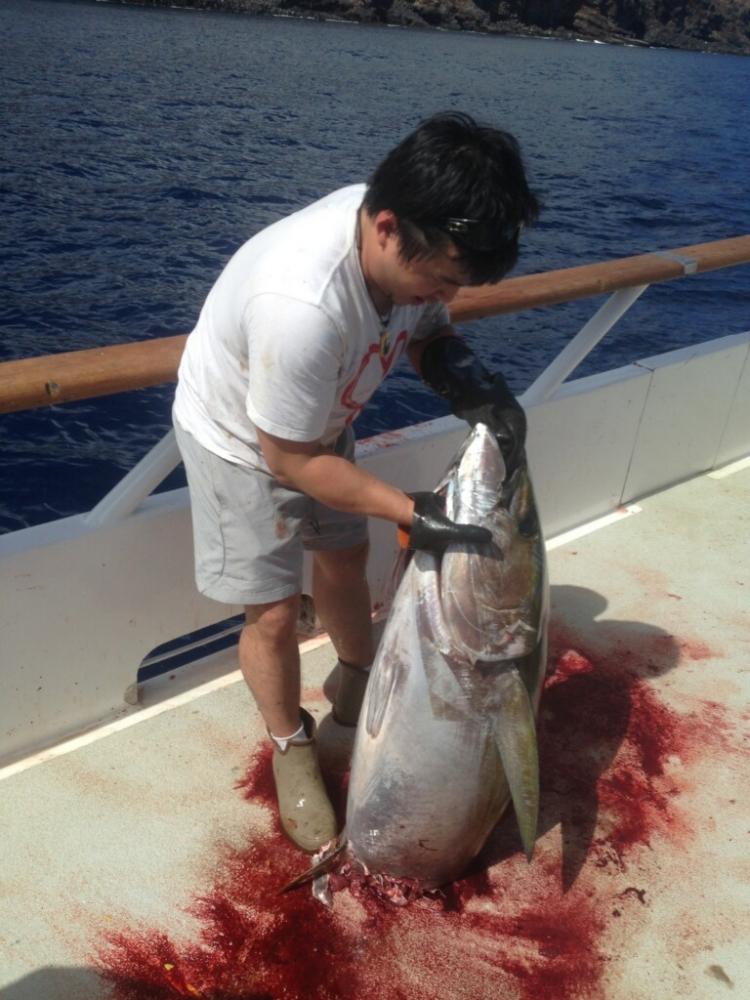 Guadalupe Island  เกาะต้องห้าม