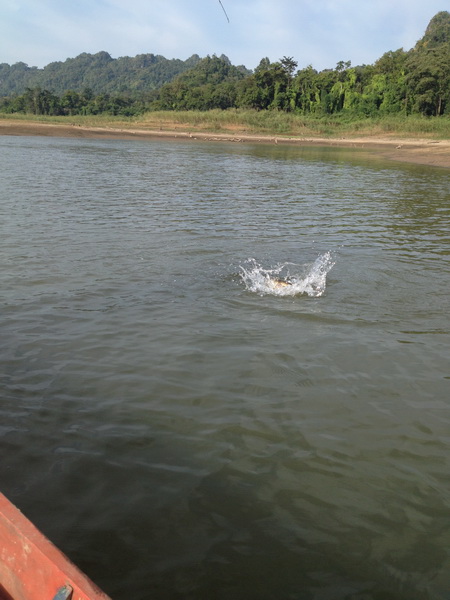 วันหยุดพา ผบ. ไปล่องเรือตามหากระสูบเขื่อนครับ...