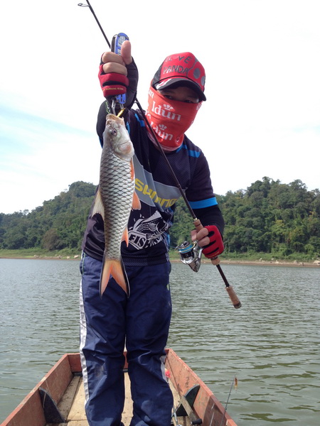 วันหยุดพา ผบ. ไปล่องเรือตามหากระสูบเขื่อนครับ...