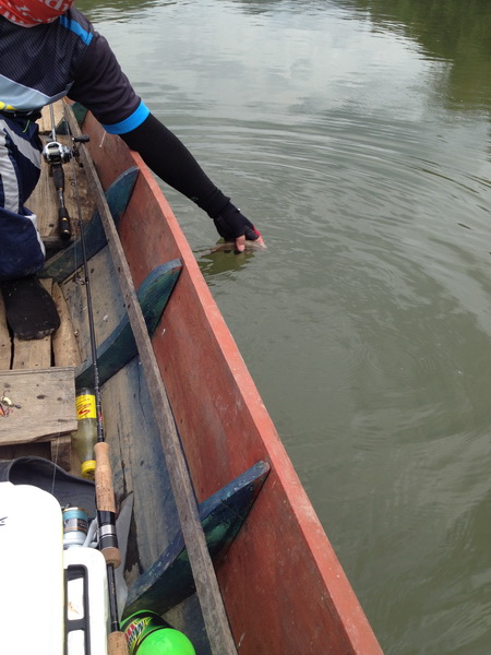 วันหยุดพา ผบ. ไปล่องเรือตามหากระสูบเขื่อนครับ...