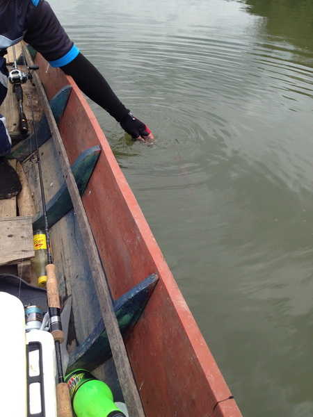 วันหยุดพา ผบ. ไปล่องเรือตามหากระสูบเขื่อนครับ...