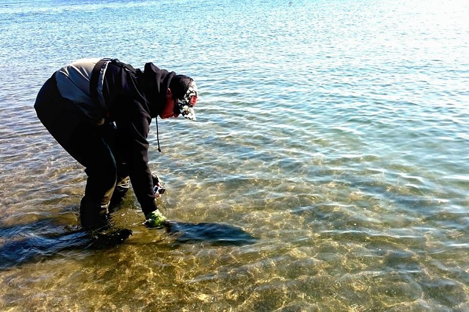 ฟลายตกSalmon ที่Holkkaido