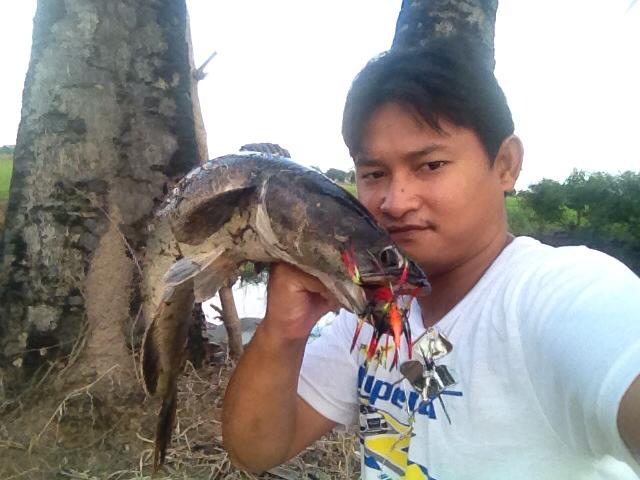 เสียงหวานๆชะโดชอบ