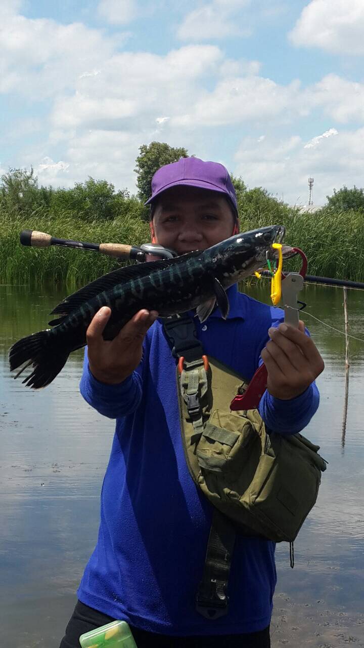 ขั่วโมงนี้ตีนเตะช่วยท่านได้