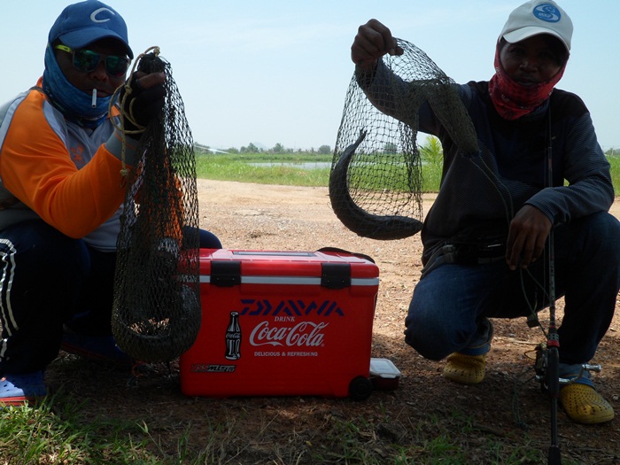 จุดมุ่งหมายสู่เพชรบุรี