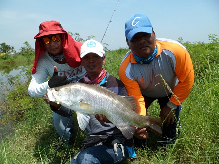 จุดมุ่งหมายสู่เพชรบุรี