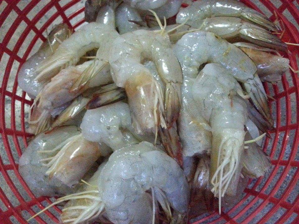 กุ้งผัดพริกเกลือ