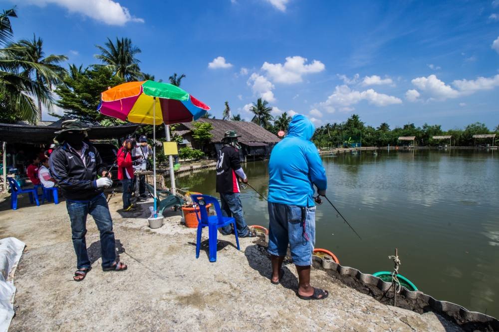 ทริบกระพงหรรษา ใครแห้วต้องโดด 