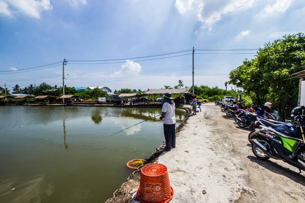 ทริบกระพงหรรษา ใครแห้วต้องโดด 