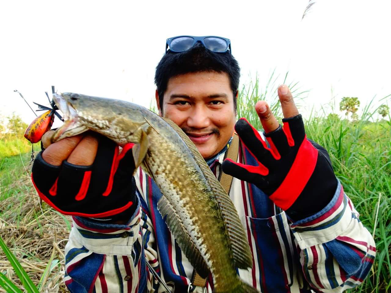 น้ำแห้งๆ จัดไป 5 แต้ม