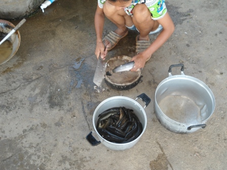 กบเก่งบ้านใหม่ ท่าม่วง กาญจนบุรี ( ซ้ำหมายเดิม )