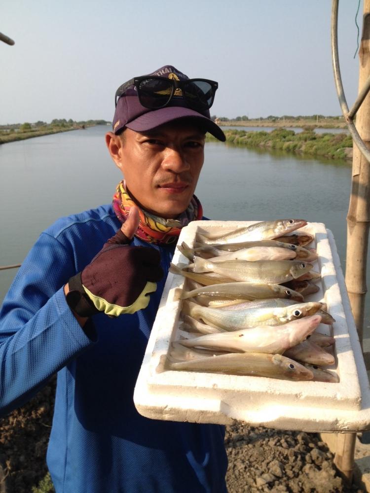 ยังมีดีอยู่นะ